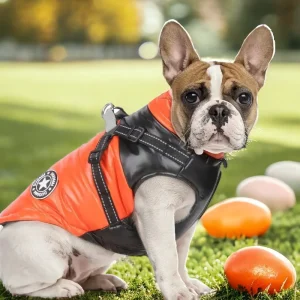 Waterdichte Hondenjas Reflecterend Met Ingebouwd Tuigje