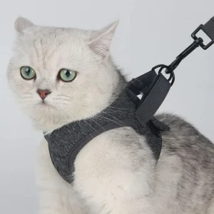 Luxe verstelbaar kattentuigje met bijpassende riem – Stijlvol en comfortabel voor dagelijkse wandelingen