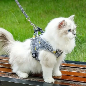 Reflecterend verstelbaar huisdierharnas met zachte vulling – veiligheid en comfort voor honden en katten