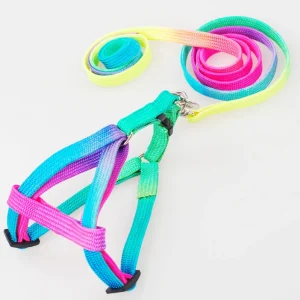 Regenboog Hondenharnas en Riem Set Verstelbaar Duurzaam Ergonomisch Ontwerp 120cm Riem