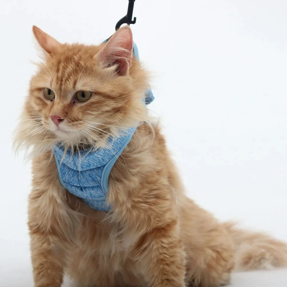 Luxe verstelbaar kattentuigje met bijpassende riem – Stijlvol en comfortabel voor dagelijkse wandelingen - Afbeelding 6